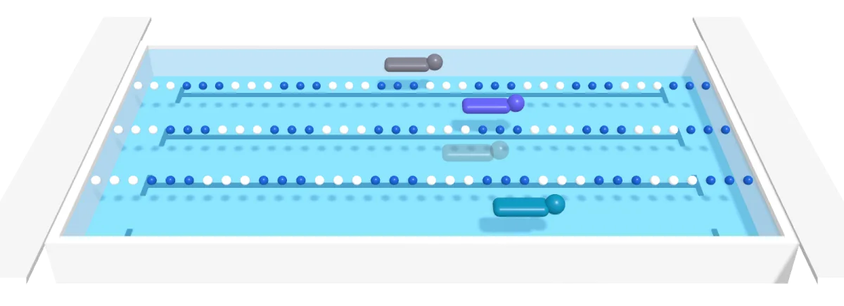 Swim Sage's race pool in 3D: four lanes and lane ropes, you in front of your target's pace, your best and your slowest